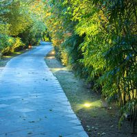 RTLA08851 40 Round Driveway lighting MR16 2 windows scene REELTECH